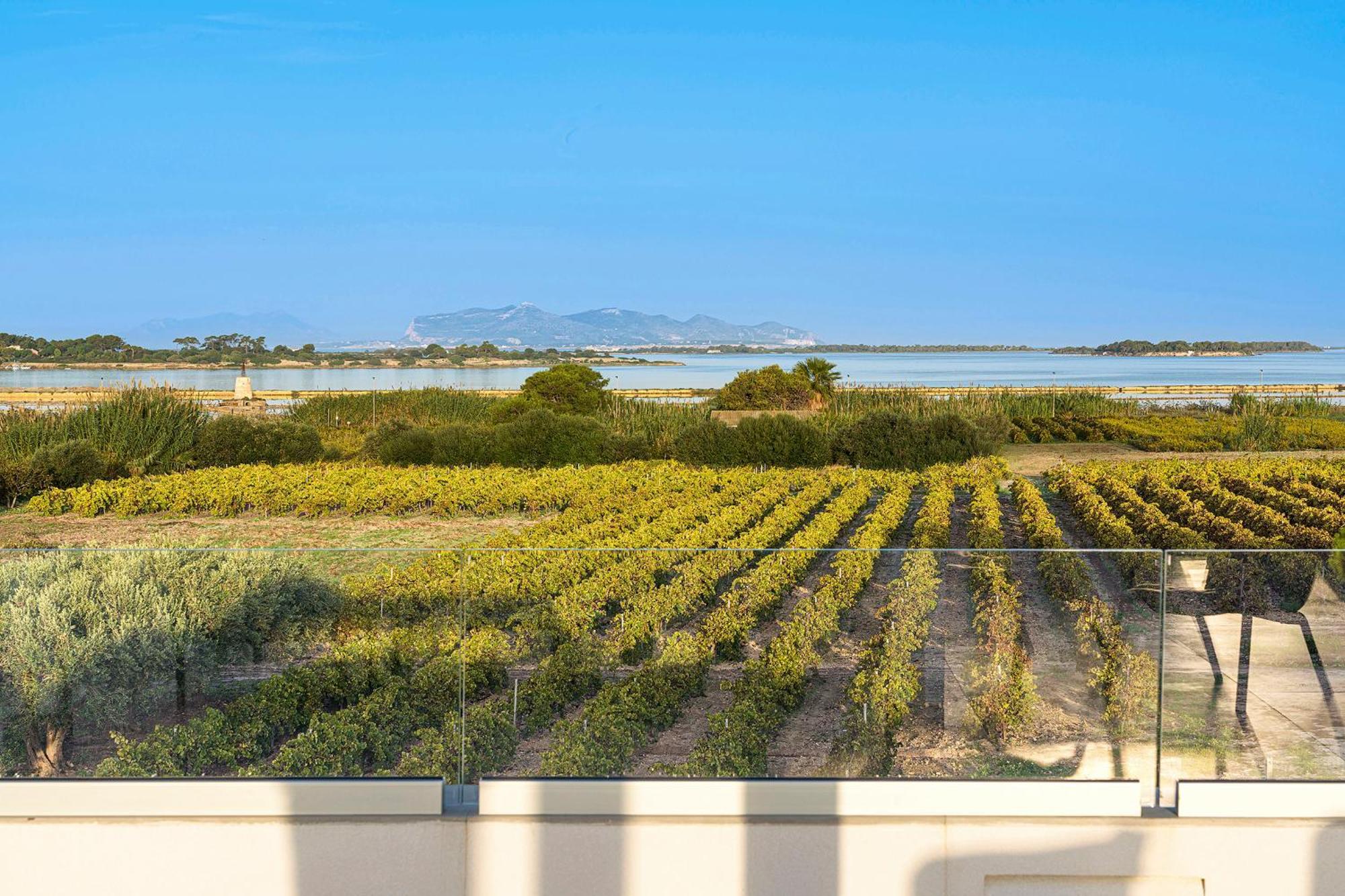 Martina'S Vineyard - Villa Marsala Eksteriør billede